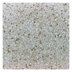 Düsseldorfer Gelb - Musterplatte 